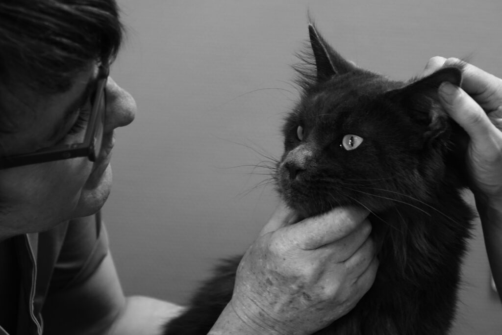 Au service des animaux 1