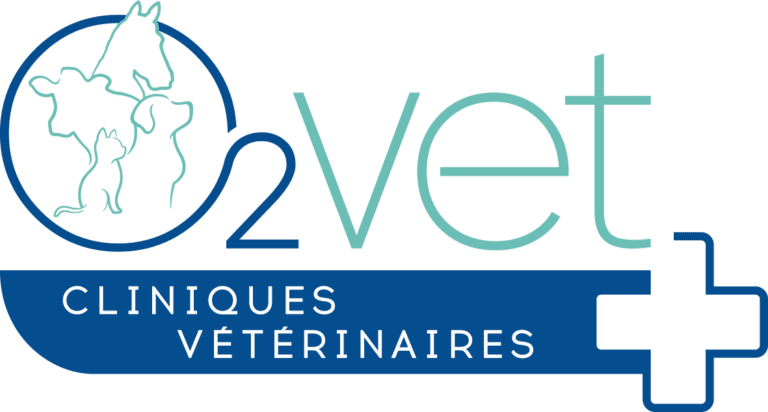 O2VET-Logo-Type1-Couleurs