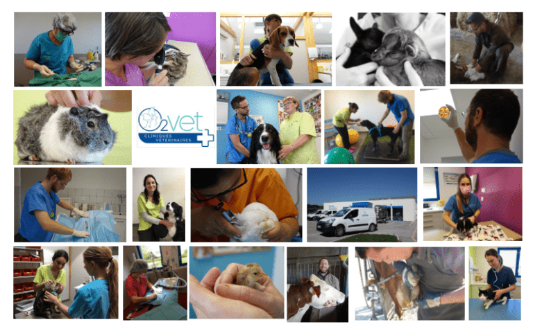 Photos mosaique
