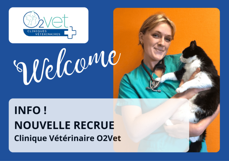 nouvelle recrue Clinique vétérinaire O2VET Dr DEBROUCKER