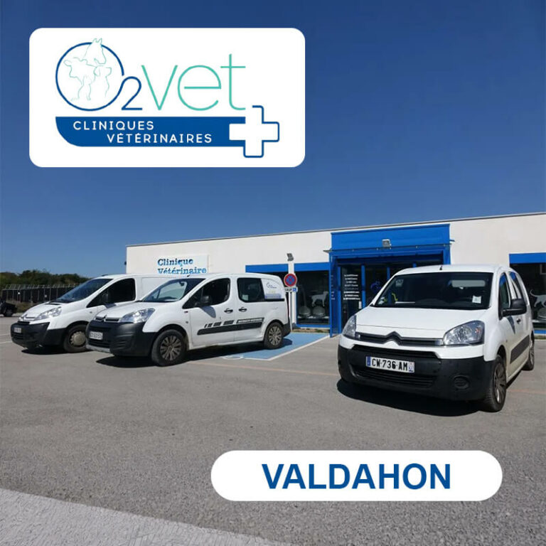 clinique-veterinaire-O2VET-valdahon Clinique Vétérinaire O2VET - Valdahon