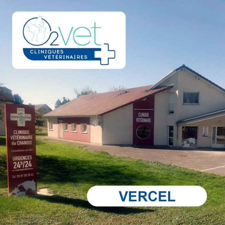 Clinique Vétérinaire O2VET - VERCEL